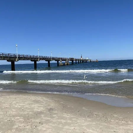 Marin, 22 *